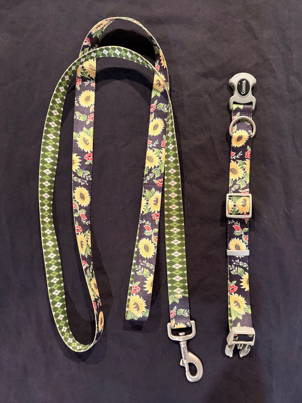 Dog Collar & Leash